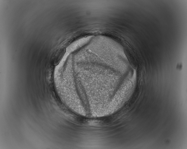 X0000115010268200911231233