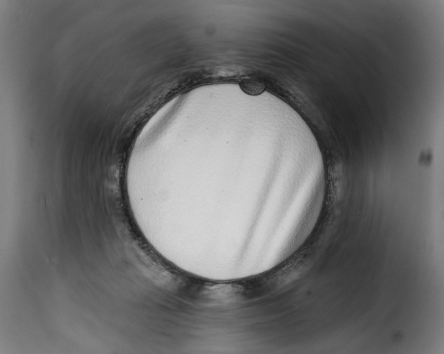 X0000115010269200911231233