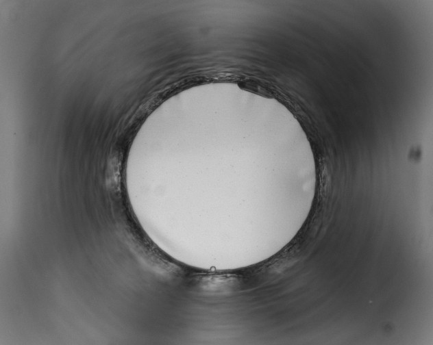X0000115010274200911231233