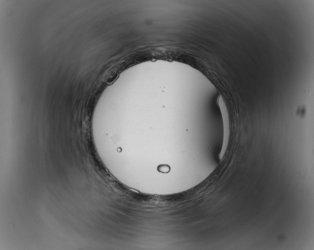 X0000115010276200911231233