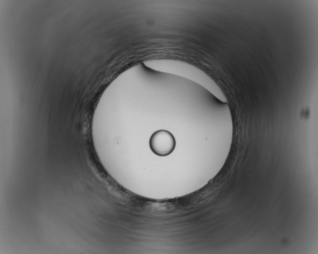 X0000115010277200911231233