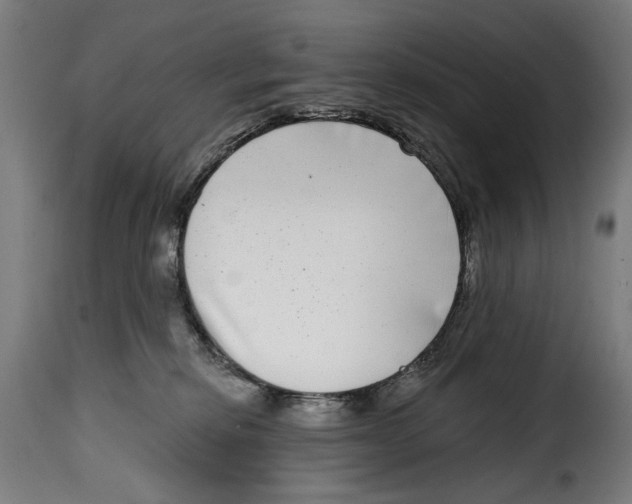 X0000115010278200911231233