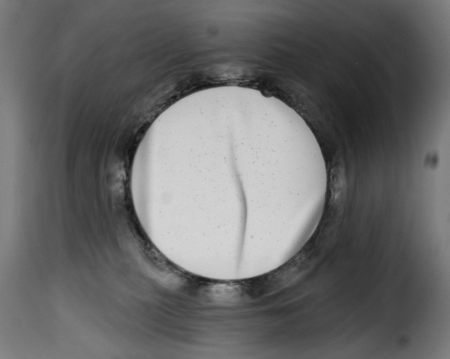 X0000115010279200911231234