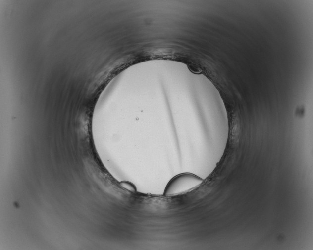 X0000115010282200911231234