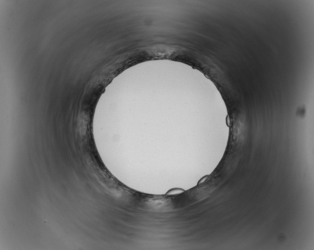 X0000115010283200911231234