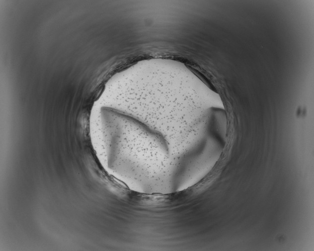 X0000115010288200911231234