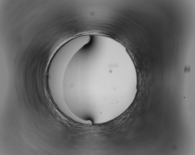 X0000115010289200911231233