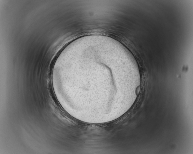 X0000115010290200911231233