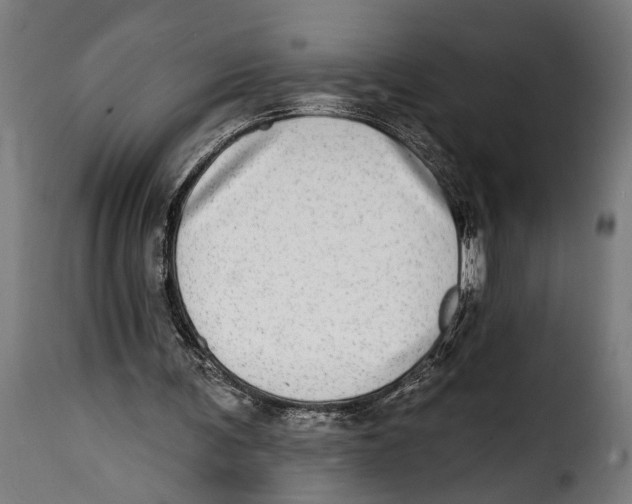 X0000115010291200911231233
