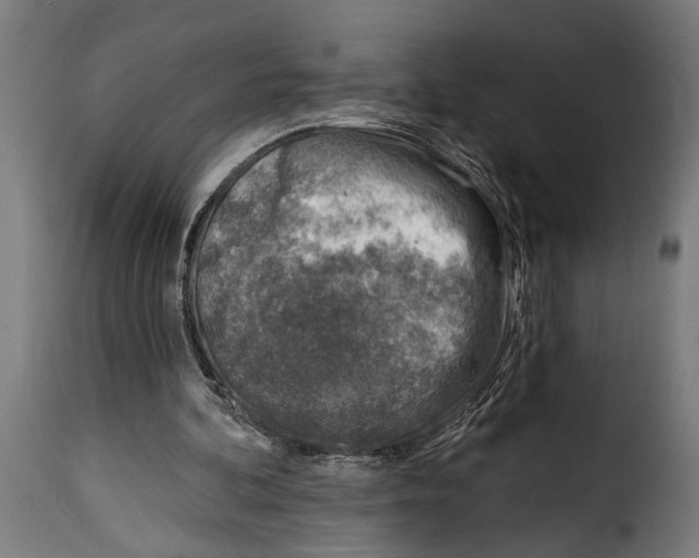 X0000115010292200911231233