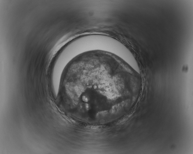 X0000115010295200911231233