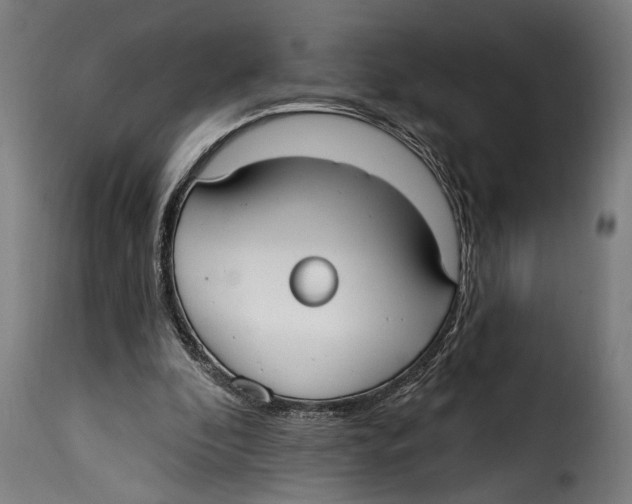 X0000115010296200911231233