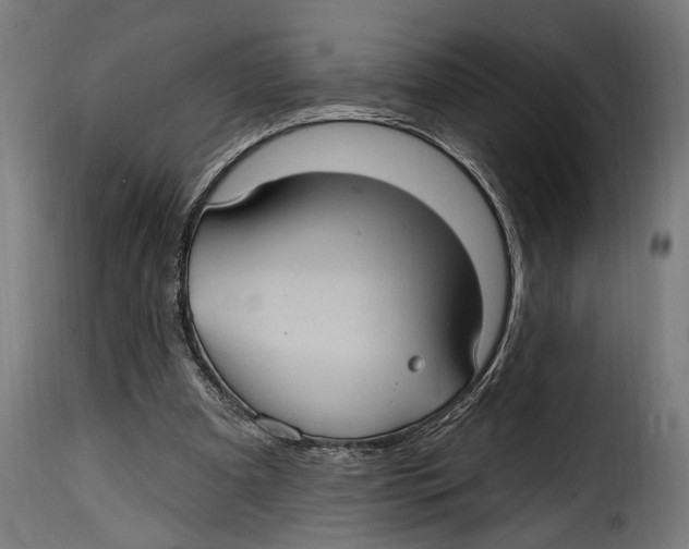 X0000115010297200911231233
