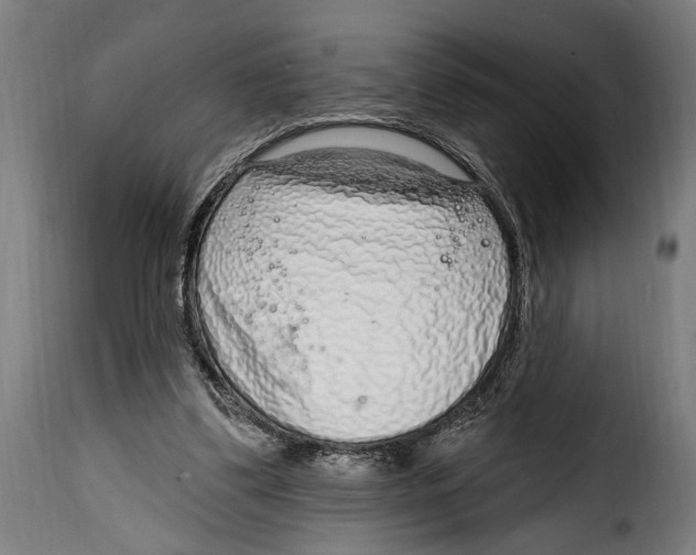 X0000115010299200911231233