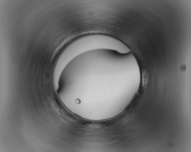X0000115010300200911231233