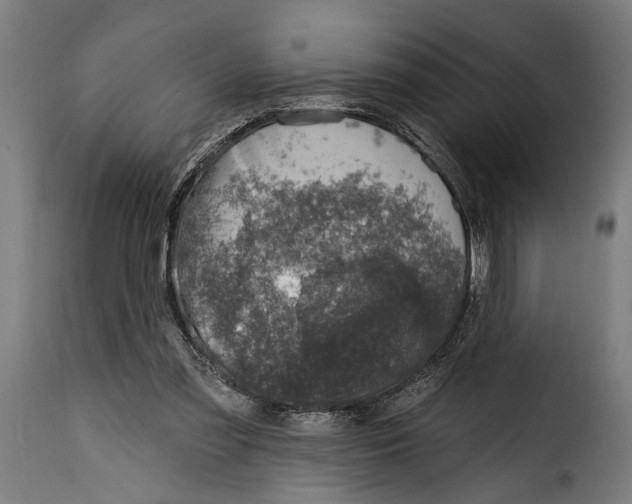 X0000115010301200911231233