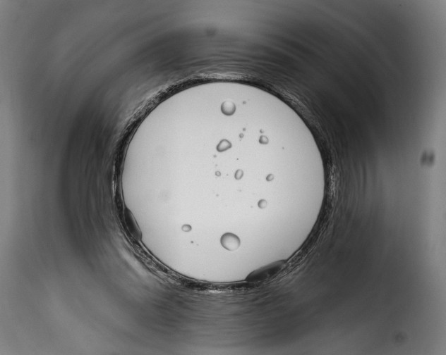 X0000115010302200911231233