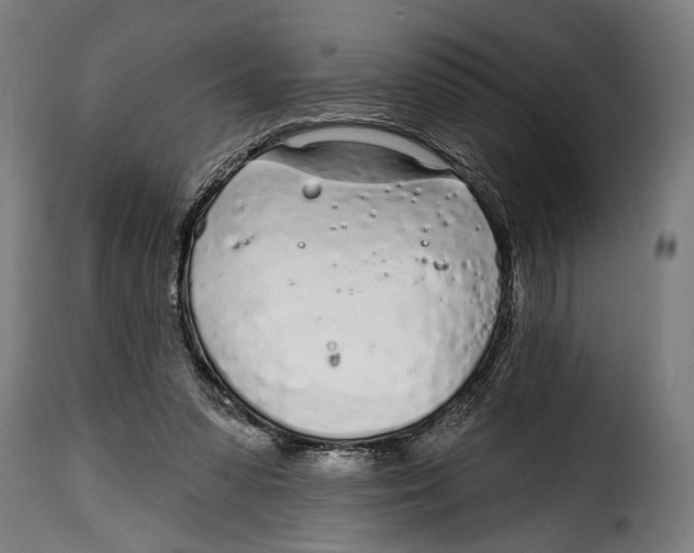 X0000115010303200911231233