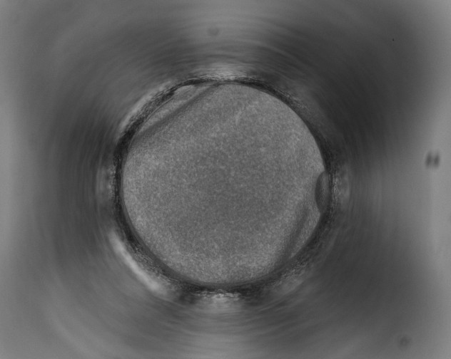 X0000115010304200911231233