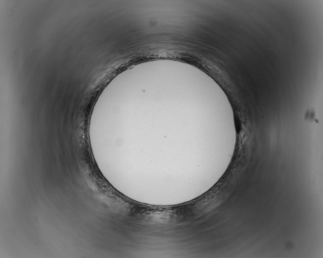 X0000115010306200911231233