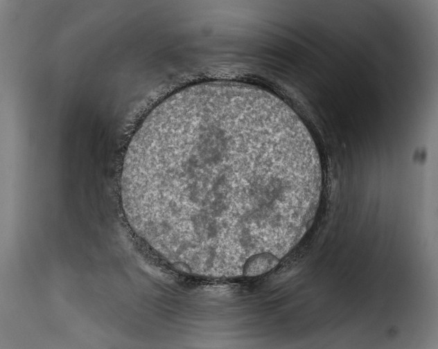 X0000115010307200911231233