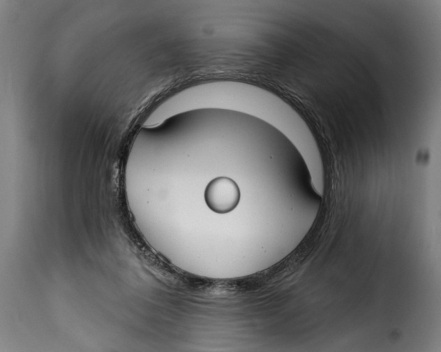 X0000115010308200911231233