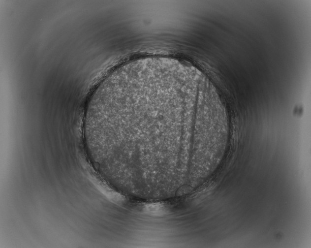 X0000115010309200911231233