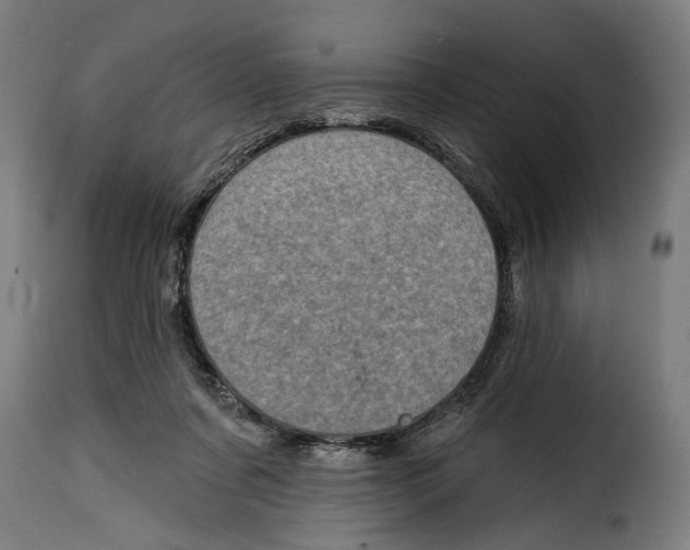 X0000115010311200911231233