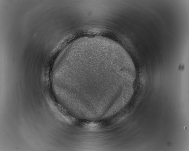 X0000115010312200911231233