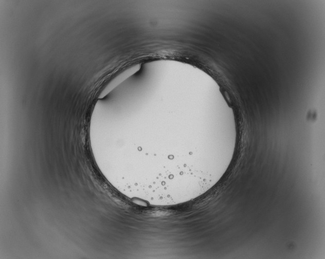 X0000115010313200911231233