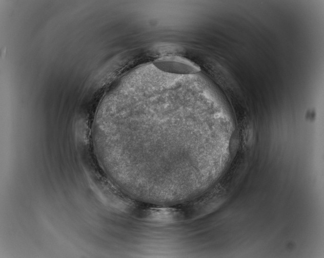 X0000115010316200911231233