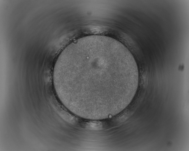 X0000115010317200911231233