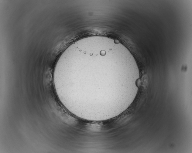 X0000115010318200911231233