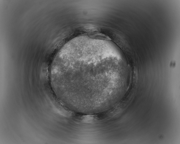 X0000115010320200911231233