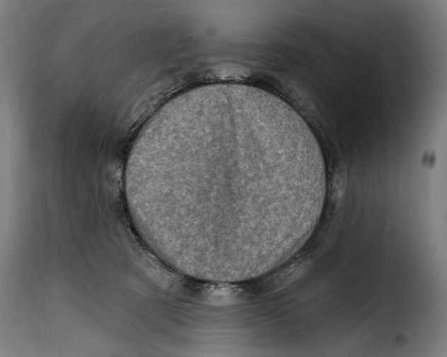 X0000115010321200911231233