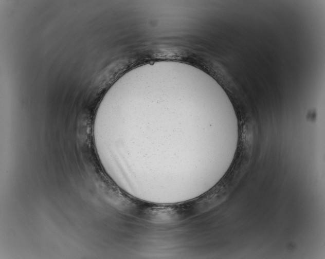 X0000115010322200911231233