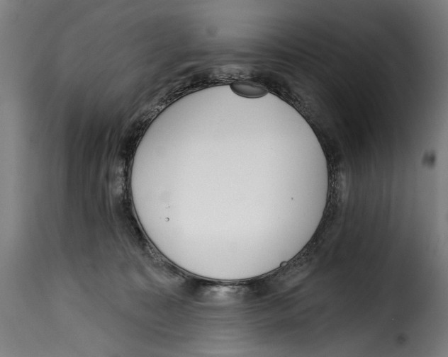X0000115010323200911231232