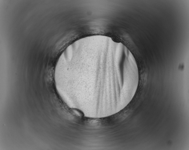 X0000115010325200911231232