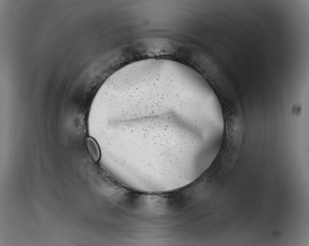 X0000115010327200911231232