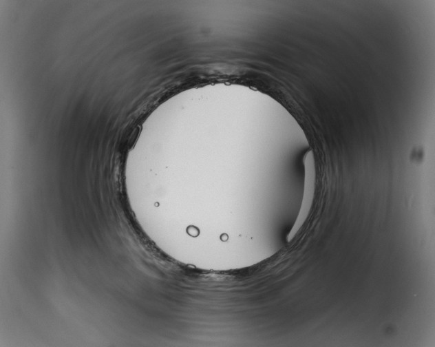 X0000115010328200911231232