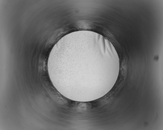 X0000115010330200911231232