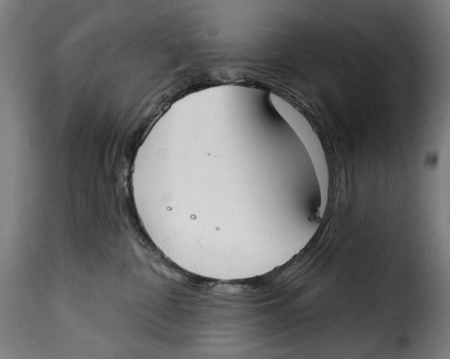 X0000115010332200911231232