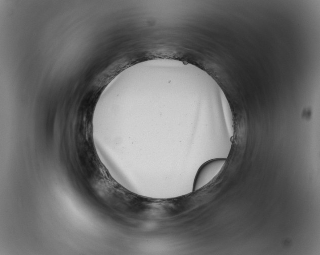 X0000115010334200911231232