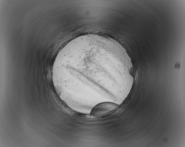 X0000115010335200911231232