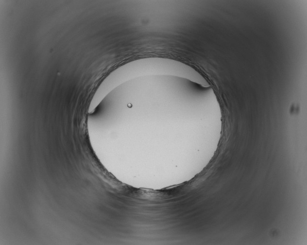 X0000115010336200911231232