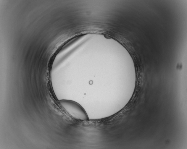 X0000115010338200911231232