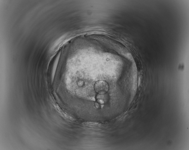 X0000115010339200911231232