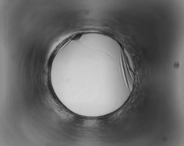 X0000115010342200911231232