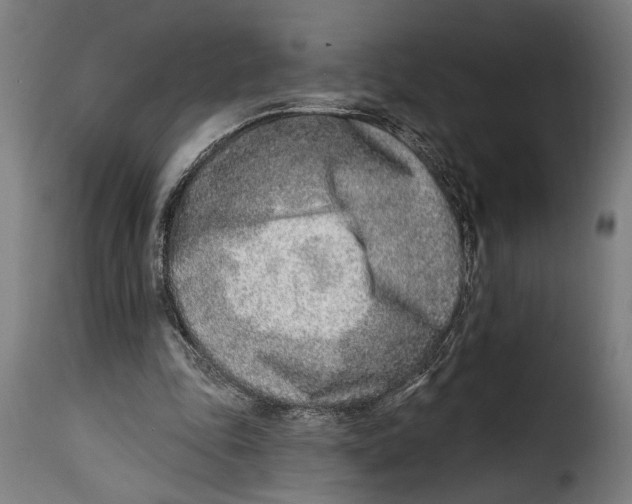 X0000115010343200911231232