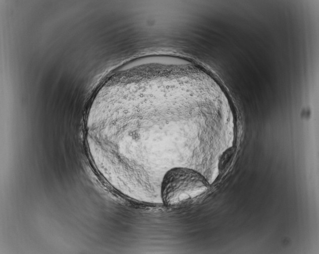 X0000115010345200911231232